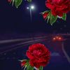 منار