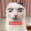 chienn999999
