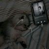 zheem_04