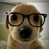 nguyenkhanhlinh_00