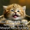 paijo_paiman