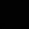 privv._773