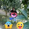 brinh333333