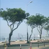 trnhxunphong3