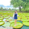 manhcuong5rl9y