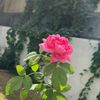 user681261579
