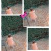yasminael029