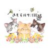 遇見毛孩生活館|優等合法貓舍