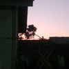restu_anak_baik.8
