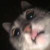 wh0_.lily