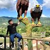 fernanditoquiroz8