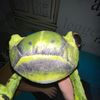 mr.egoriii