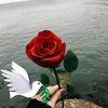 hassenhassen6139