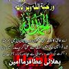 hafizshafi46