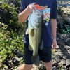 pondmasters100