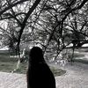 elayez_47