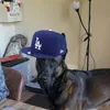 krz_zk