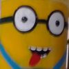 timoshanegey