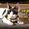 sieun3235