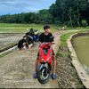 redluxx02