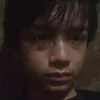 amiel20122