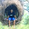 afrizal6861