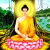user4755480021906