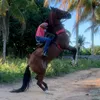 vaquejada_meu_esporte0