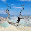 ricoferdiansyah35