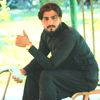 armni.musafar1