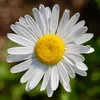 hello_29z1