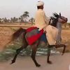 azizkhan38190