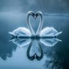 cutejannatul143