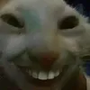 maynhincaideogi211