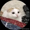 hehejt