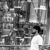 fariid018