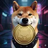 shibainucoin___
