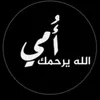 user62230268552787