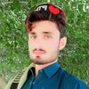 hayat_niazi_0786