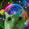 loony_220