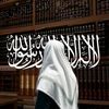 almu6644