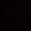 nesibov.a
