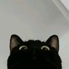 posthuman_nexgennn