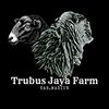 trubus.jaya.farm
