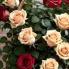 uahmad898