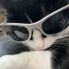 qloglmao