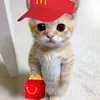 jessica_lov03