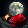 kazim.901_