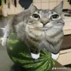 bong085325