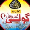 m.sajid.tanoli1